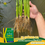 Thuốc Phân Bón K-Nông Thuốc Phân Bón K-Nông