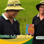 Phân bón lá hữu cơ và phân hóa học – Nông dân nên chọn gì? Phân bón lá hữu cơ và phân hóa học – Nông dân nên chọn gì?