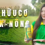 AC-ORGANIC 04 - Phân hữu cơ cải tạo đất, tăng sức sống cho cây trồng  AC-ORGANIC 04 - Phân hữu cơ cải tạo đất, tăng sức sống cho cây trồng
