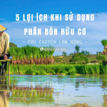 Phân bón lá hữu cơ: 5 lợi ích vượt trội khi thay thế phân hóa học Phân bón lá hữu cơ: 5 lợi ích vượt trội khi thay thế phân hóa học