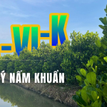 Kỹ thuật bảo vệ mít mùa mưa: Kiểm soát nấm và vi khuẩn bằng NA-VI-K