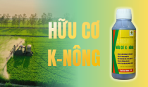 Nông dân dùng phân bón Hữu cơ K-NÔNG để phục hồi đất sau mùa mưa