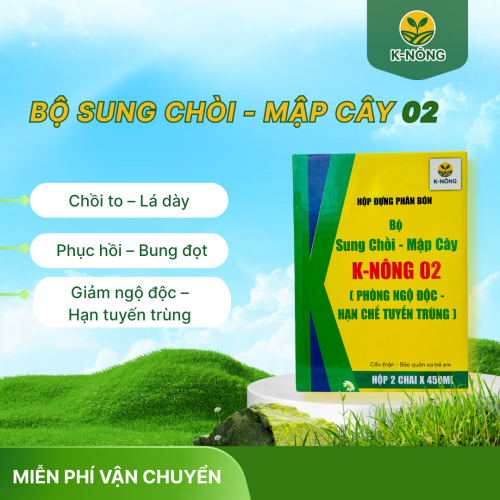 K-NÔNG 02 - SUNG CHỒI, MẬP CÂY, PHỤC HỒI NHANH
