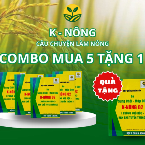 K-NÔNG 02 - SUNG CHỒI, MẬP CÂY, PHỤC HỒI NHANH