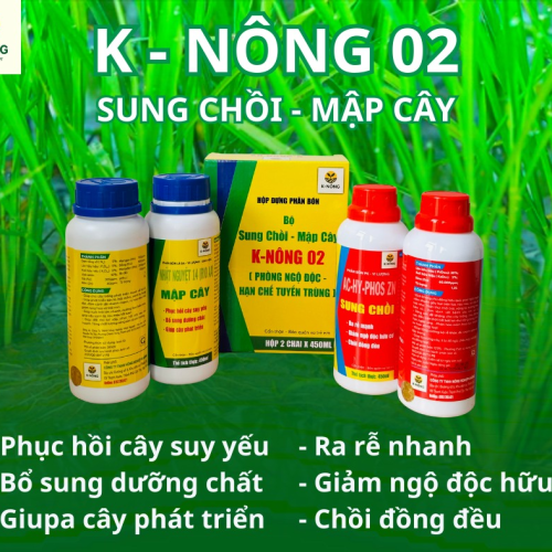 K-NÔNG 02 - SUNG CHỒI, MẬP CÂY, PHỤC HỒI NHANH
