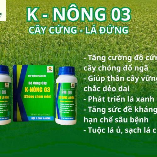 K-NÔNG 03 – CÂY CỨNG, LÁ ĐỨNG, CHỐNG ĐỔ NGÃ