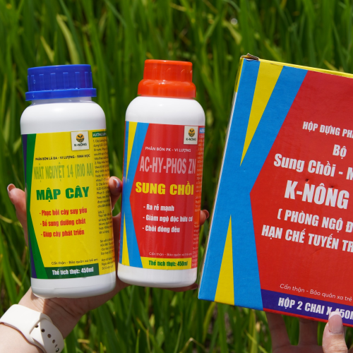 K-NÔNG 02 - SUNG CHỒI, MẬP CÂY, PHỤC HỒI NHANH