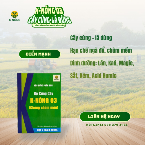 K-NÔNG 03 – CÂY CỨNG, LÁ ĐỨNG, CHỐNG ĐỔ NGÃ