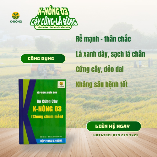K-NÔNG 03 – CÂY CỨNG, LÁ ĐỨNG, CHỐNG ĐỔ NGÃ