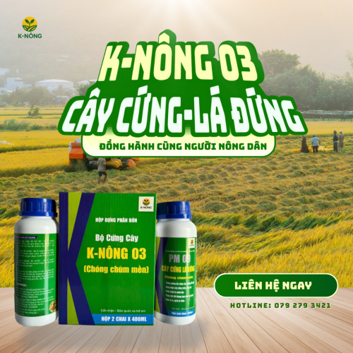K-NÔNG 03 – CÂY CỨNG, LÁ ĐỨNG, CHỐNG ĐỔ NGÃ