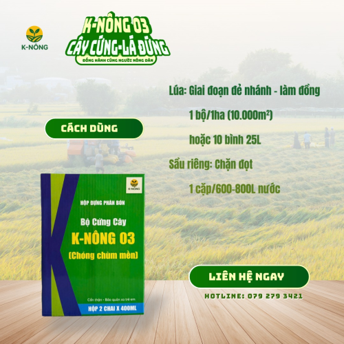 K-NÔNG 03 – CÂY CỨNG, LÁ ĐỨNG, CHỐNG ĐỔ NGÃ