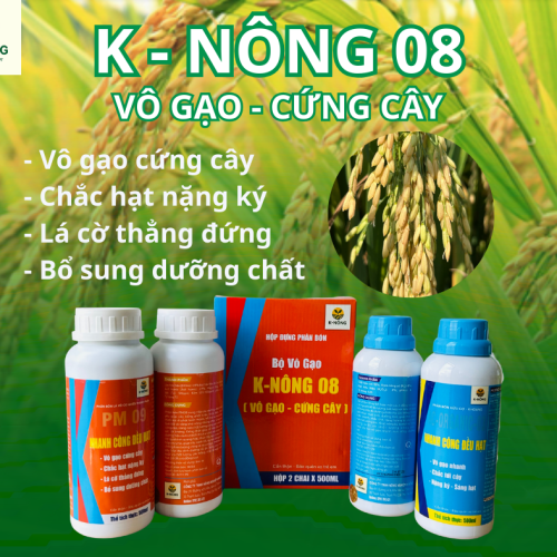 K-NÔNG 08 – NHANH CÔNG, ĐIỀU HẠT