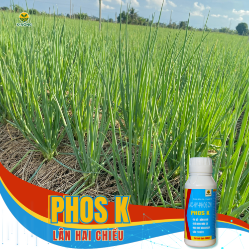 Phân bón lá Phos K - Lân 2 chiều