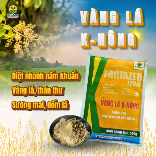 VÀNG LÁ K-NÔNG, PHÒNG TRỪ NẤM BỆNH HẠI CÂY TRỒNG