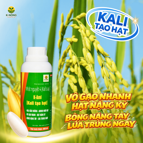 Kali Tạo Hạt - Sáng ruộng nặng bông, chắc hạt nặng ký, vô gạo mạnh