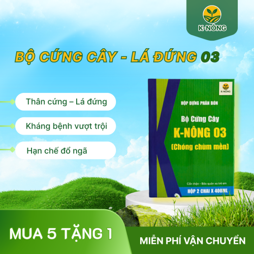 K-NÔNG 03 – CÂY CỨNG, LÁ ĐỨNG, CHỐNG ĐỔ NGÃ
