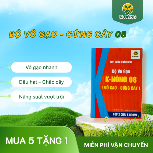 K-NÔNG 08 – NHANH CÔNG, ĐIỀU HẠT