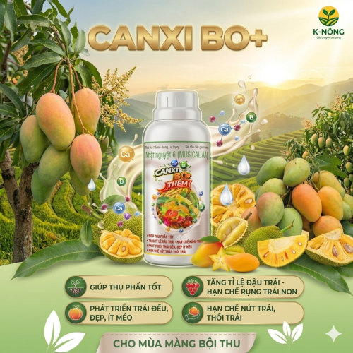 Canxi Bo Cho Lúa Và Cây Ăn Trái : Bí Quyết Chắc Hạt, Đậu Trái, Chống Rụng