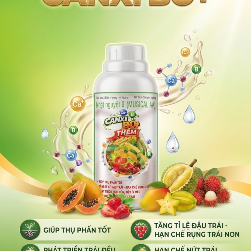 Canxi Bo Cho Lúa Và Cây Ăn Trái : Bí Quyết Chắc Hạt, Đậu Trái, Chống Rụng