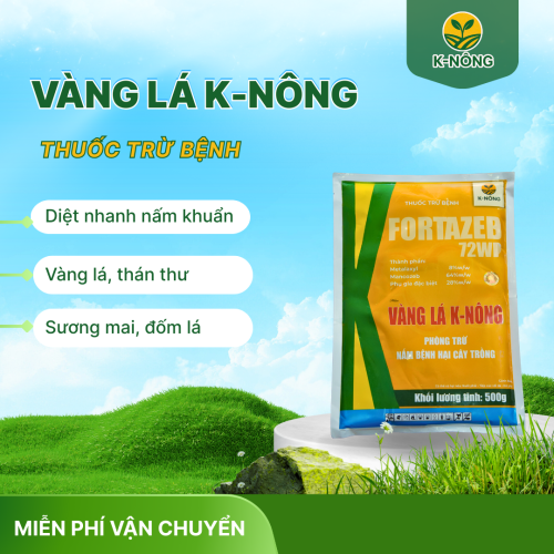VÀNG LÁ K-NÔNG, PHÒNG TRỪ NẤM BỆNH HẠI CÂY TRỒNG