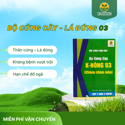 K-NÔNG 03 – CÂY CỨNG, LÁ ĐỨNG, CHỐNG ĐỔ NGÃ