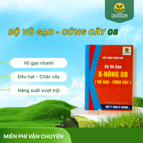 K-NÔNG 08 – NHANH CÔNG, ĐIỀU HẠT