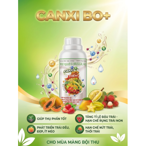 Canxi Bo Cho Lúa Và Cây Ăn Trái : Bí Quyết Chắc Hạt, Đậu Trái, Chống Rụng
