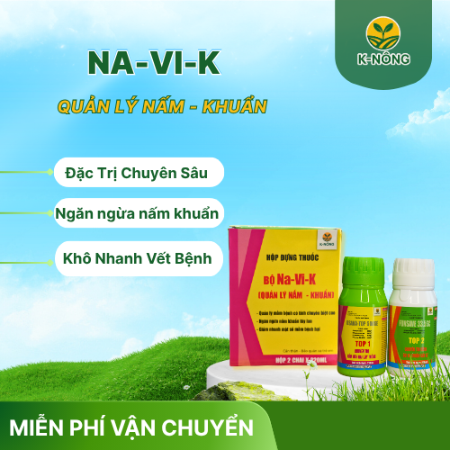 NA-VI-K –Bộ giải pháp quản lý nấm khuẩn toàn diện cho cây trồng