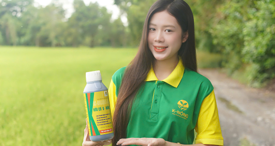 Phân bón hữu cơ là gì? Lợi ích vượt trội cho nông nghiệp sạch