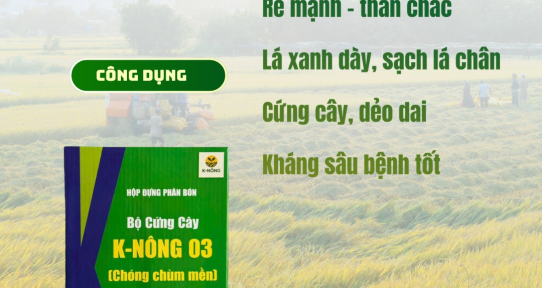 Nhà Phân Phối Phân Bón Lớn Nhất Miền Tây