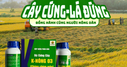 Sử Dụng Dùng Phân Bón K-Nông Đúng Cách