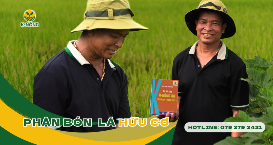 Phân bón lá hữu cơ và phân hóa học – Nông dân nên chọn gì?