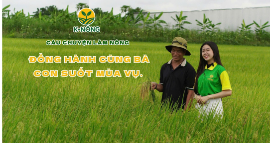 Phân bón hữu cơ K-NÔNG–Bí quyết mùa vụ năng suất cao từ 4 bộ sản phẩm