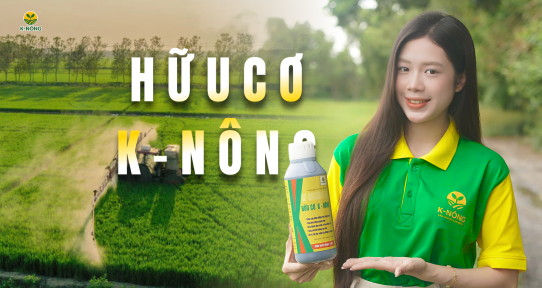 AC-ORGANIC 04 - Phân hữu cơ cải tạo đất, tăng sức sống cho cây trồng 
