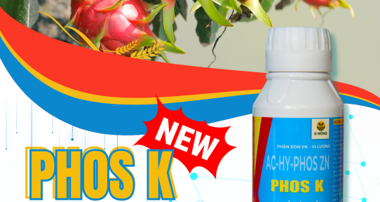 Phân bón PHOS K – Giải pháp phục hồi nhanh và tăng sức sống cho rau màu