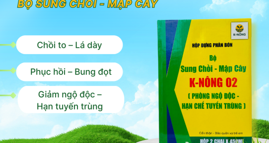 Giải pháp phục hồi và tăng trưởng bền vững với phân bón K-Nông 02