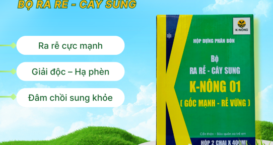 Giải pháp chống vàng lá sinh lý trên cây lúa