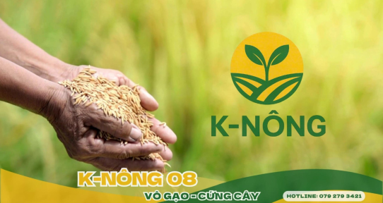 Top 5 loại phân bón hữu cơ phổ biến nhất tại Việt Nam hiện nay