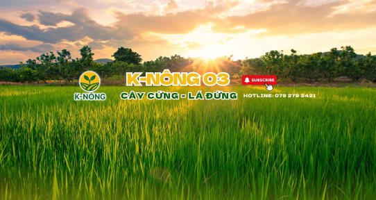 Tại sao nên chọn phân bón hữu cơ từ K-Nông cho cây trồng?