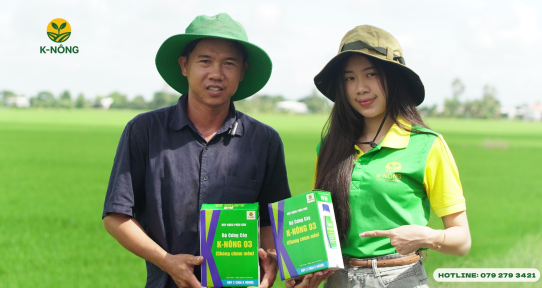 Phân bón hữu cơ vi sinh – Giải pháp bền vững cho đất trồng