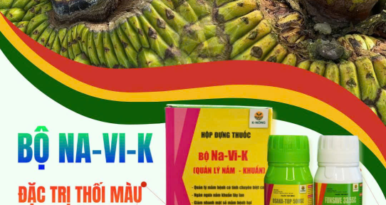 NA-VI-K – Giải pháp kép quản lý nấm khuẩn hiệu quả cho cây trồng