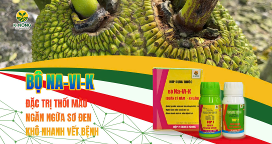 Bộ NA-VI-K – Thuốc quản lý nấm khuẩn hiệu quả cho cây trồng