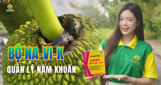 NA-VI-K – Bộ thuốc đặc trị nấm khuẩn hiệu quả, khô nhanh vết bệnh