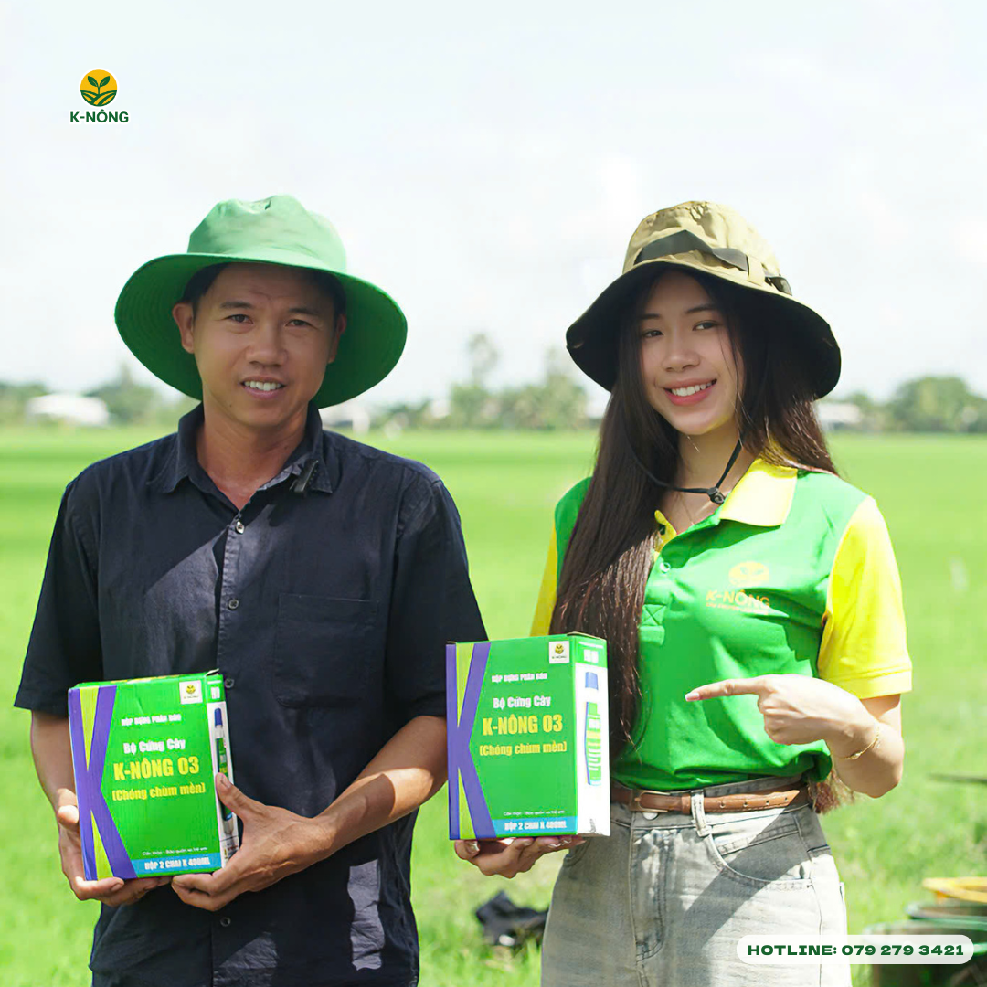 phân bón hữu cơ