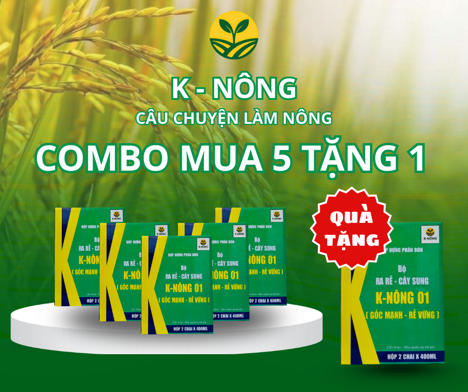 Kỹ thuật nuôi trồng lúa nước