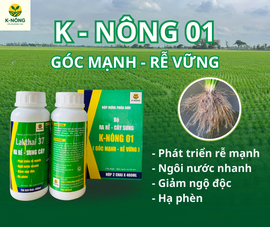 Kỹ thuật nuôi trồng lúa nước