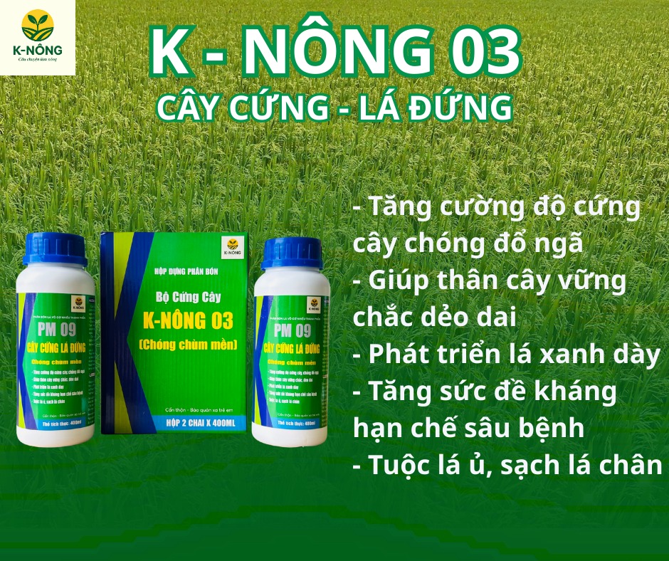 Thuốc Phân Bón K-Nông