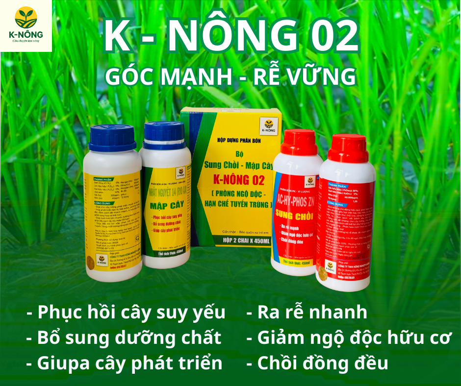 Lúa Tốt Nên Sử Dụng Phân Bón Gì