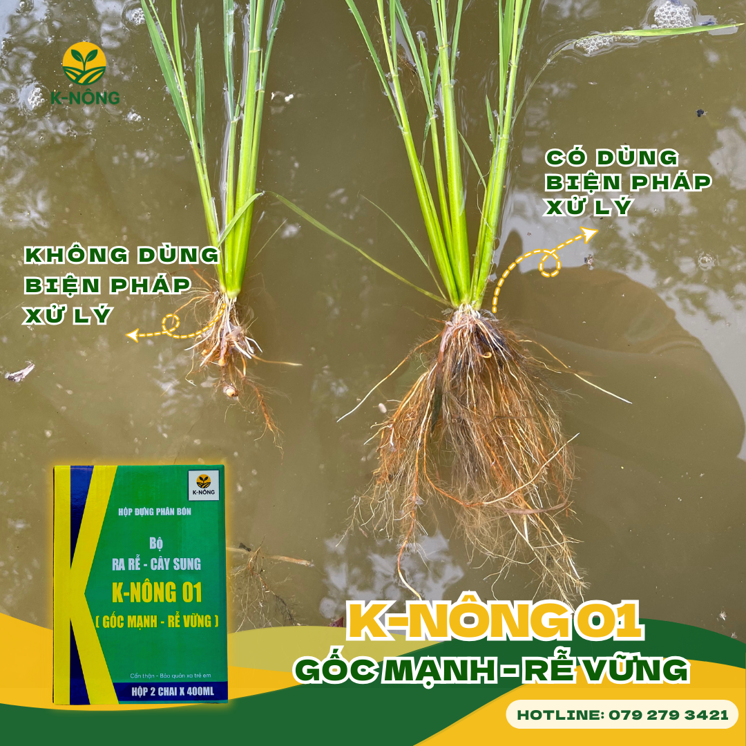 phân bón lá hữu cơ