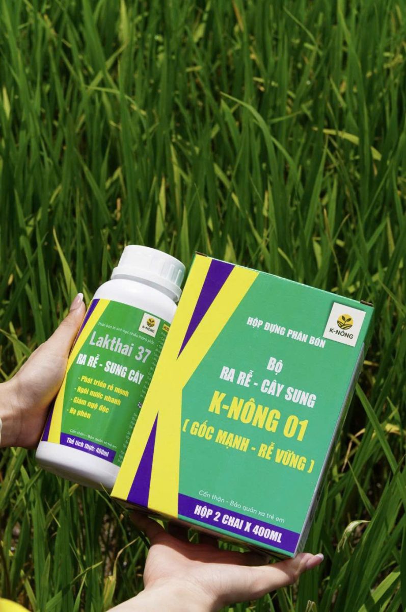 Sản phẩm phân bón lá K-Nông 01 chống vàng lá sinh lý